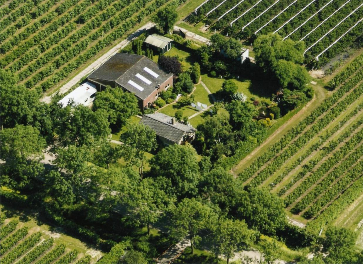 B&B Elbahof, Goed En Goedkoop! Hem Zewnętrze zdjęcie